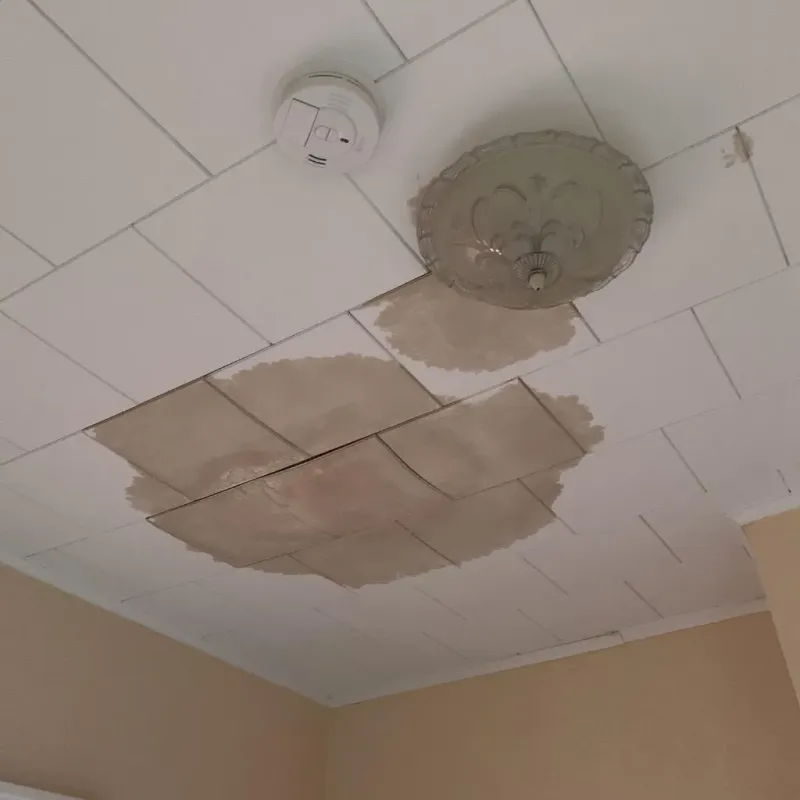 Ceiling Water Damage Repair in Pymatuning Central, PA