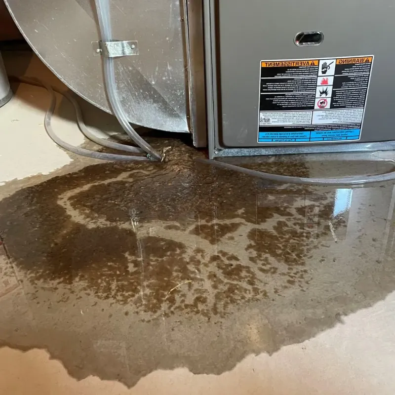 Pipe Burst and Leak Restoration in Pymatuning Central, PA
